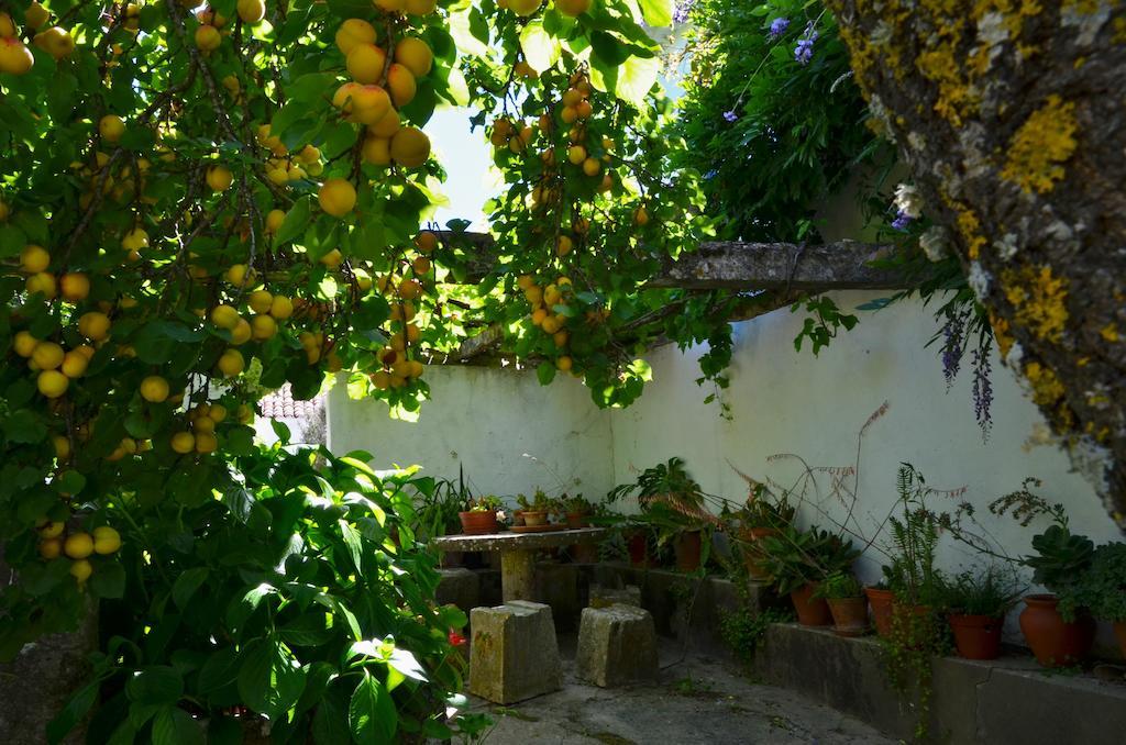 Vila Casa Do Sobral Obidos Room photo